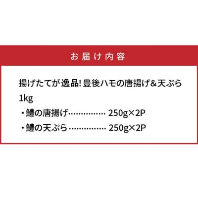 揚げたてが美味!豊後ハモの唐揚げ&天ぷら/1kg_0274N