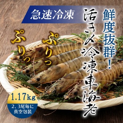 鮮度抜群!活き〆冷凍車海老(1.17kg)_29004C