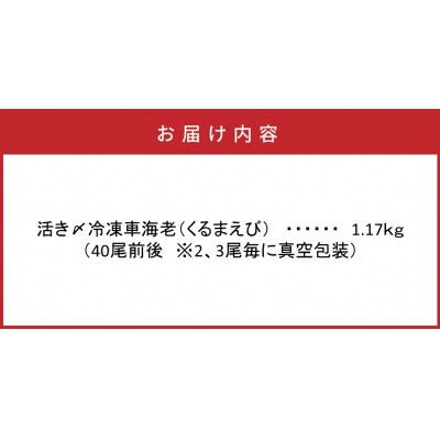 鮮度抜群!活き〆冷凍車海老(1.17kg)_29004C