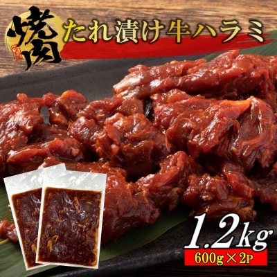 牛ハラミのタレ漬け1.2kg(600g×2P)_2158R