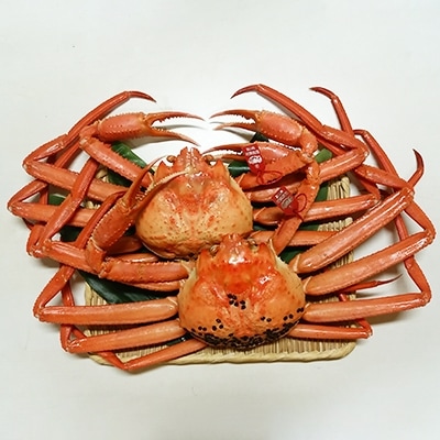 新湊産紅ズワイガニ・孫七タグ付き(約1kg×2尾) | 富山県射水市