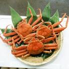 【特選】香箱がに3尾(計約600g)