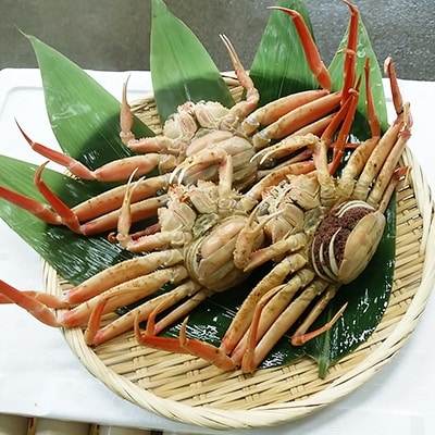 香箱がに大サイズ3尾(計約600g)
