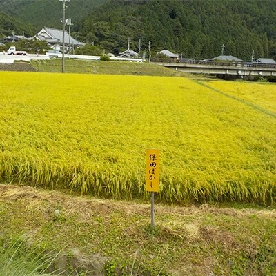 【令和元年産】特別栽培米「こしひかり」:農薬不使用「夫婦杉の里米」玄米10kg