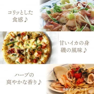 気軽に海鮮イタリアン!いかのバジルソース焼き/850g_1022R