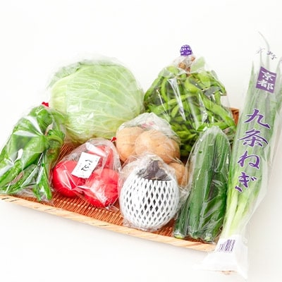 【じねんと市場】京野菜セット[6,000円コース](京都/旬野菜/美味しい/新鮮/伏見直送)