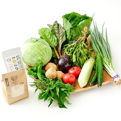 【じねんと市場】京野菜&京都産米と加工品セット[15,000円コース](京都/旬野菜/美味しい/新鮮