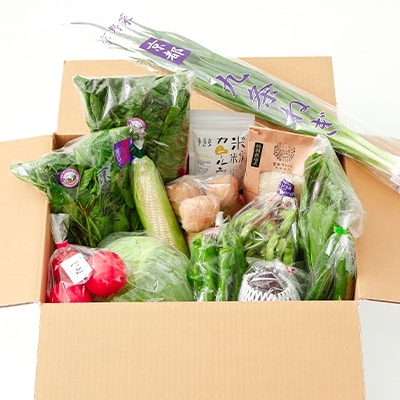 【じねんと市場】京野菜&京都産米と加工品セット[15,000円コース](京都/旬野菜/美味しい/新鮮