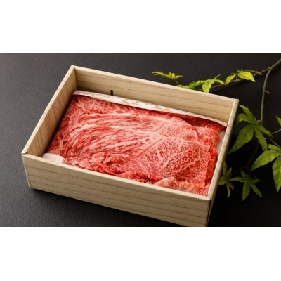 【京都モリタ屋】京の逸品!京都肉 切落とし 500g