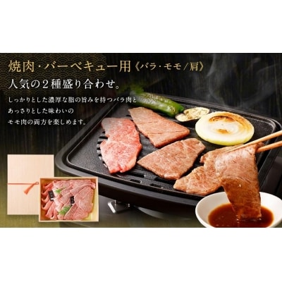 【銀閣寺大西】京都肉焼肉・BBQ用(バラ・モモ/肩)700g