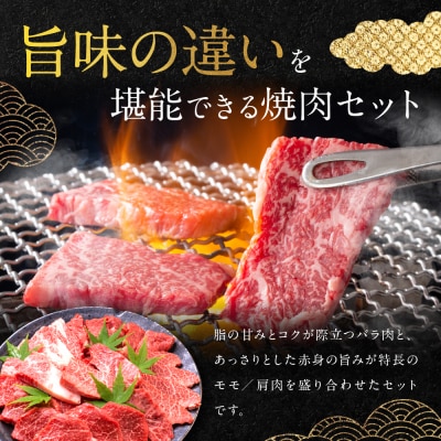 【銀閣寺大西】京都肉焼肉・BBQ用(バラ・モモ/肩)700g
