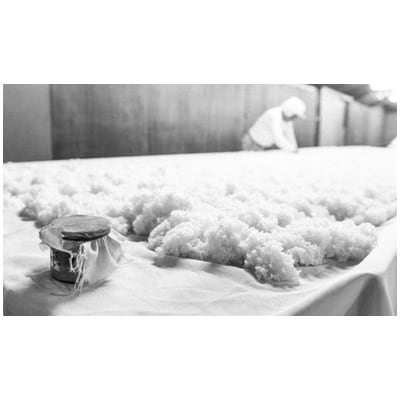 《美酒コンクール金賞》【玉乃光酒造】純米吟醸 青まねきつね・米焼酎まねきつね セット(化粧箱入り)