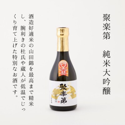 【佐々木酒造】日本酒 飲み比べセット 300ml×5本|京都 人気詰合せ 純米大吟醸 京の日本酒
