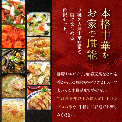 【チャイナノーヴァ】中華料理9種9品セット