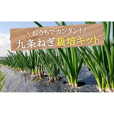 こと京都 自宅で つくれる 食べられる 九条ねぎ栽培キット お礼品詳細 ふるさと納税なら さとふる