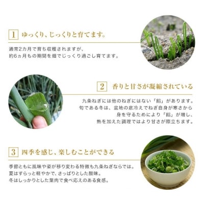 【こと京都】九条ねぎカット食べ比べセット(鍋仕様)