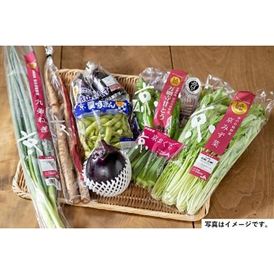 【JA全農京都】季節の京野菜セット