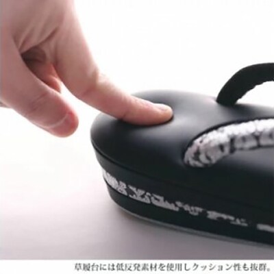 【光映工芸】京都発!伝統工芸品 和装着物用草履〈京金彩〉≪イタリアサラサ柄≫ F寸