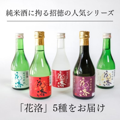 【招徳酒造】日本酒 花洛 飲み比べ 300ml×5本|京都 伏見の日本酒 人気シリーズ 