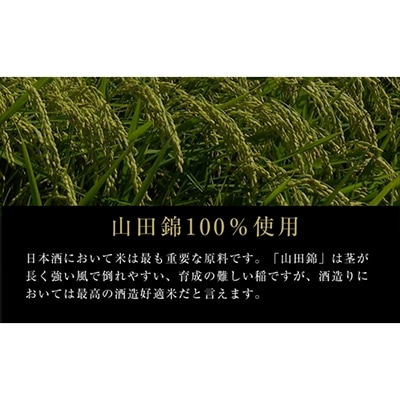 【黄桜】SUPER PREMIUM純米大吟醸750ml