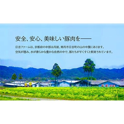 【京都フードパック】「京丹波高原豚」氷温熟成豚ロース[西京味噌漬け]