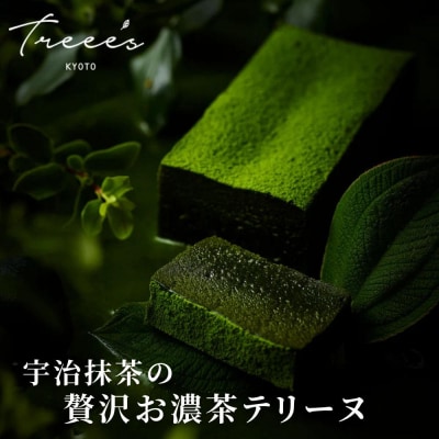 【TREEE’S】お濃茶テリーヌ | 京都 ギフト 洋菓子 抹茶 スイーツ 人気