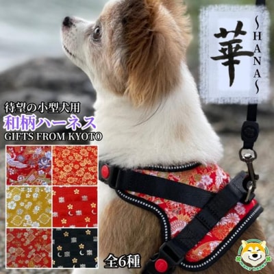【 京都西陣金襴織 】小型犬ハーネス 華(唐草)【柴犬コウタのハッピィショップ】