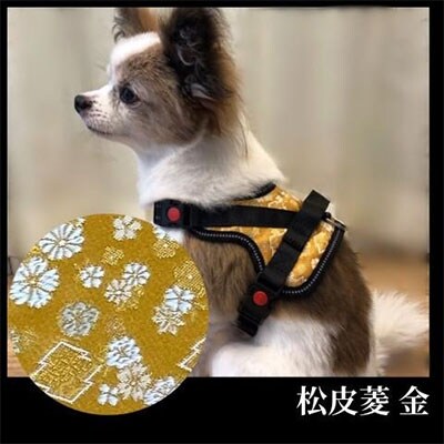 柴犬コウタのハッピィショップ 小型犬用 京都西陣金襴織 ハーネス 華 Hana 松皮菱 金 お礼品詳細 ふるさと納税なら さとふる