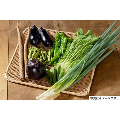 <2回　定期便>【JA全農京都】半年に1回配送!季節の京野菜セット