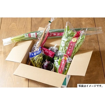 <2回　定期便>【JA全農京都】半年に1回配送!季節の京野菜セット