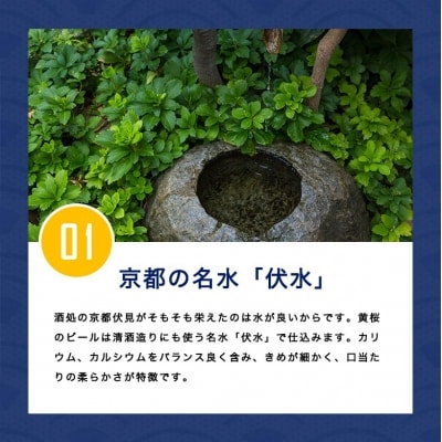 【黄桜】クラフトビール 「ラッキーキャット」 (350ml缶×24本)