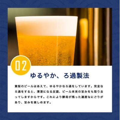 【黄桜】クラフトビール 「ラッキーキャット」 (350ml缶×24本)