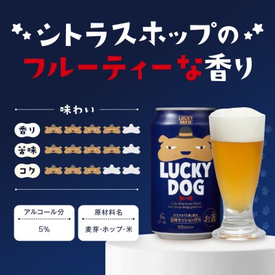 【黄桜】クラフトビール 「ラッキードッグ」 (350ml缶×24本)