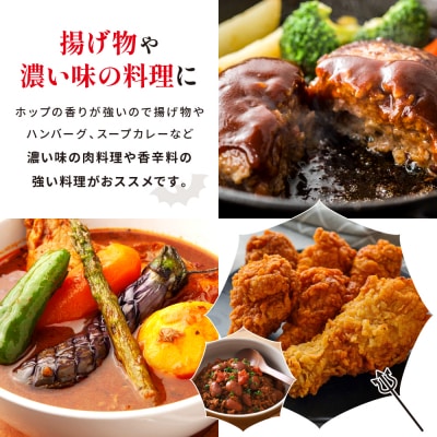 【黄桜】クラフトビール 「悪魔のビール レッドセッションIPA」(350ml缶×24本)