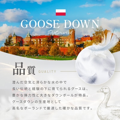 大東寝具工業オリジナルプレミアム　 冬用羽毛布団　オズゴ　ポーランド産　ホワイトグースダウン95%