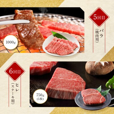 <定期便6回>【京都モリタ屋】京都肉食べ比べ(1)
