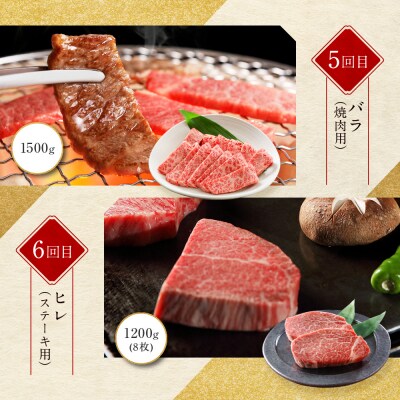 <定期便6回>【京都モリタ屋】京都肉食べ比べ(2)