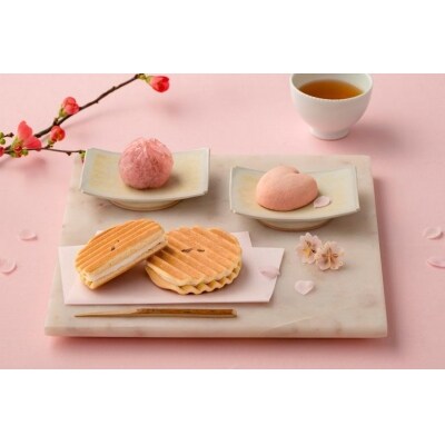 鼓月 春ギフト 春の銘菓撰詰合せ 千寿せんべい6枚 花嵐山5個 花すだれ8個 お礼品詳細 ふるさと納税なら さとふる 鼓月 春ギフト 春の銘菓撰詰合せ 千寿せんべい6枚 花嵐山5個 花すだれ8個 お礼品詳細 ふるさと納税なら さとふる