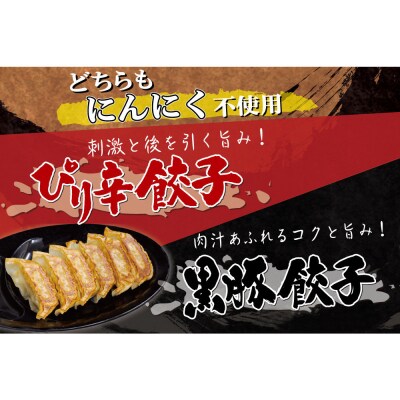 【ラーメン横綱】横綱の餃子はニンニク不使用!ぴり辛餃子・黒豚餃子 各5パックセット