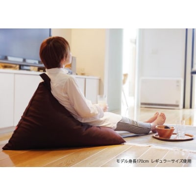 【大東寝具工業】tetra 8号帆布(レギュラーサイズ)【ビーズクッション座椅子】(黒)
