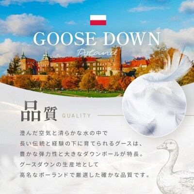 【大東寝具工業】大東寝具工業オリジナルプレミアム　冬用羽毛布団　オズゴ　ポーランド産　シングル