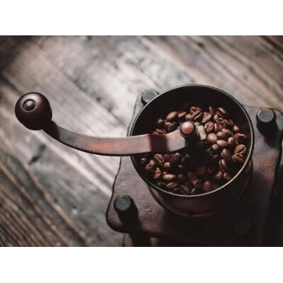 〈定期便・6ヶ月〉【PINROASTER】木屋町ブレンド(豆のまま)(200g×2)