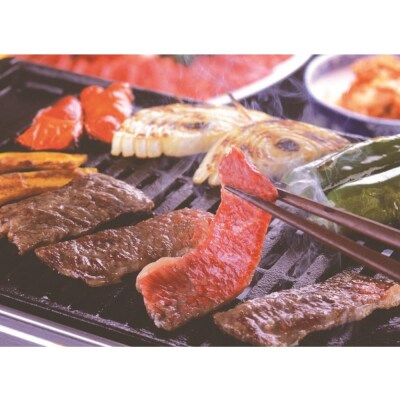【銀閣寺大西】京都肉ステーキ(150g×6枚)&焼肉(1000g)&しゃぶしゃぶ用(1000g)