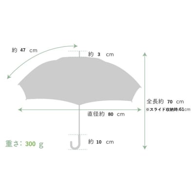 【ブロンズ】西陣織傘(チェックペイズリー柄ブルー)
