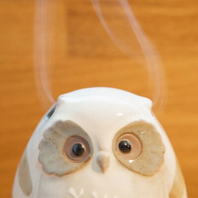 【香老舗 松栄堂】麗香炉 (ほっほ/芳輪 白川スティック80本セット)