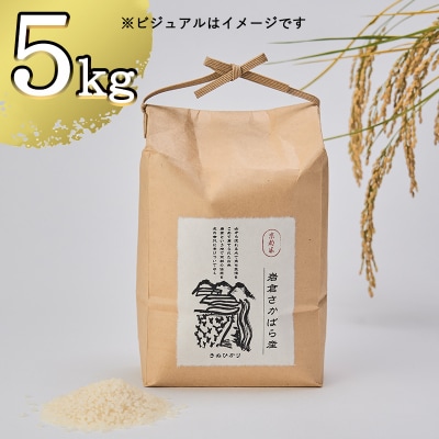【京都岩倉坂原米作りプロジェクト】〈新米〉京都岩倉さかばら産 きぬひかり(5kg)
