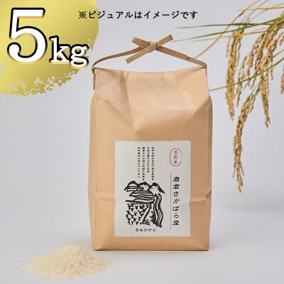 【京都岩倉坂原米作りプロジェクト】〈新米〉京都岩倉さかばら産 きぬひかり(5kg)