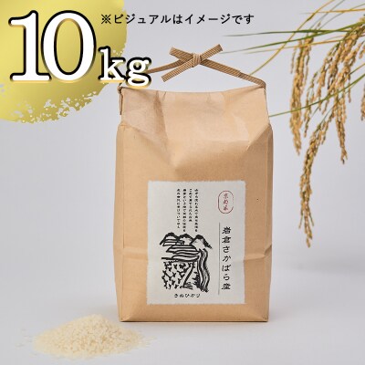 【京都岩倉坂原米作りプロジェクト】〈新米〉京都岩倉さかばら産 きぬひかり(5kg×2袋)
