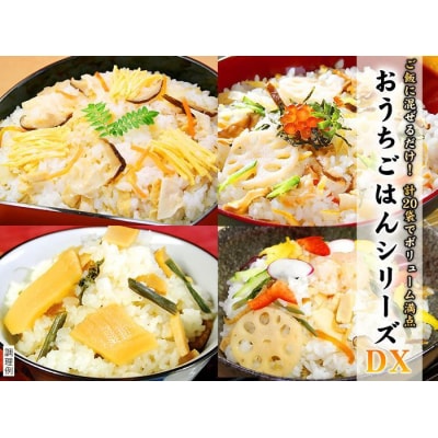 【京都　味の顔見世】簡単・便利な混ぜご飯の素!おうちごはんシリーズ20DX