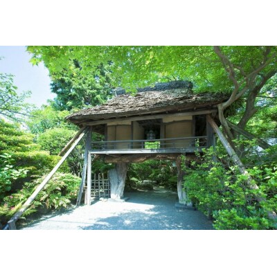 【山ばな平八茶屋】ペアランチチケット「千鳥(ちどり)」